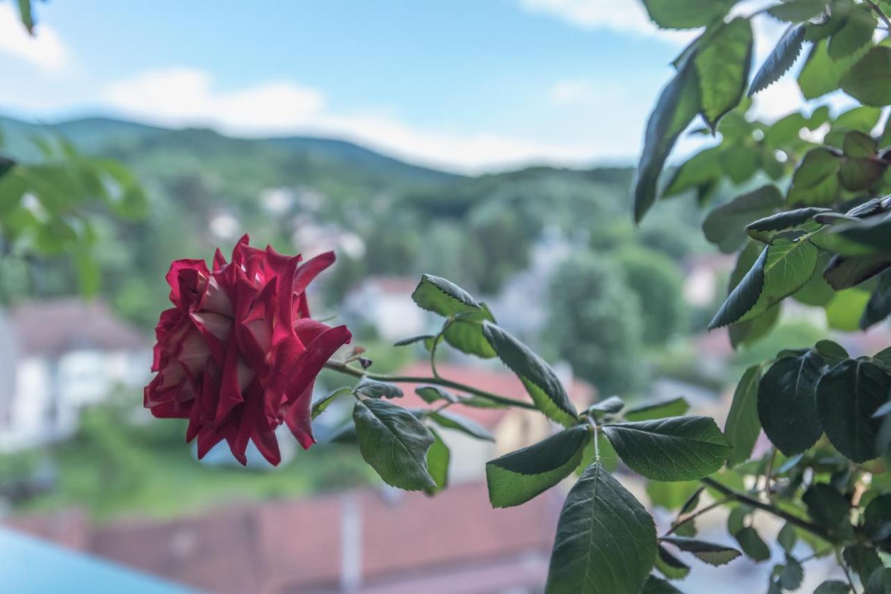 Onore Dell Amore Apartman Sa Djakuzijem Banja Koviljača Buitenkant foto