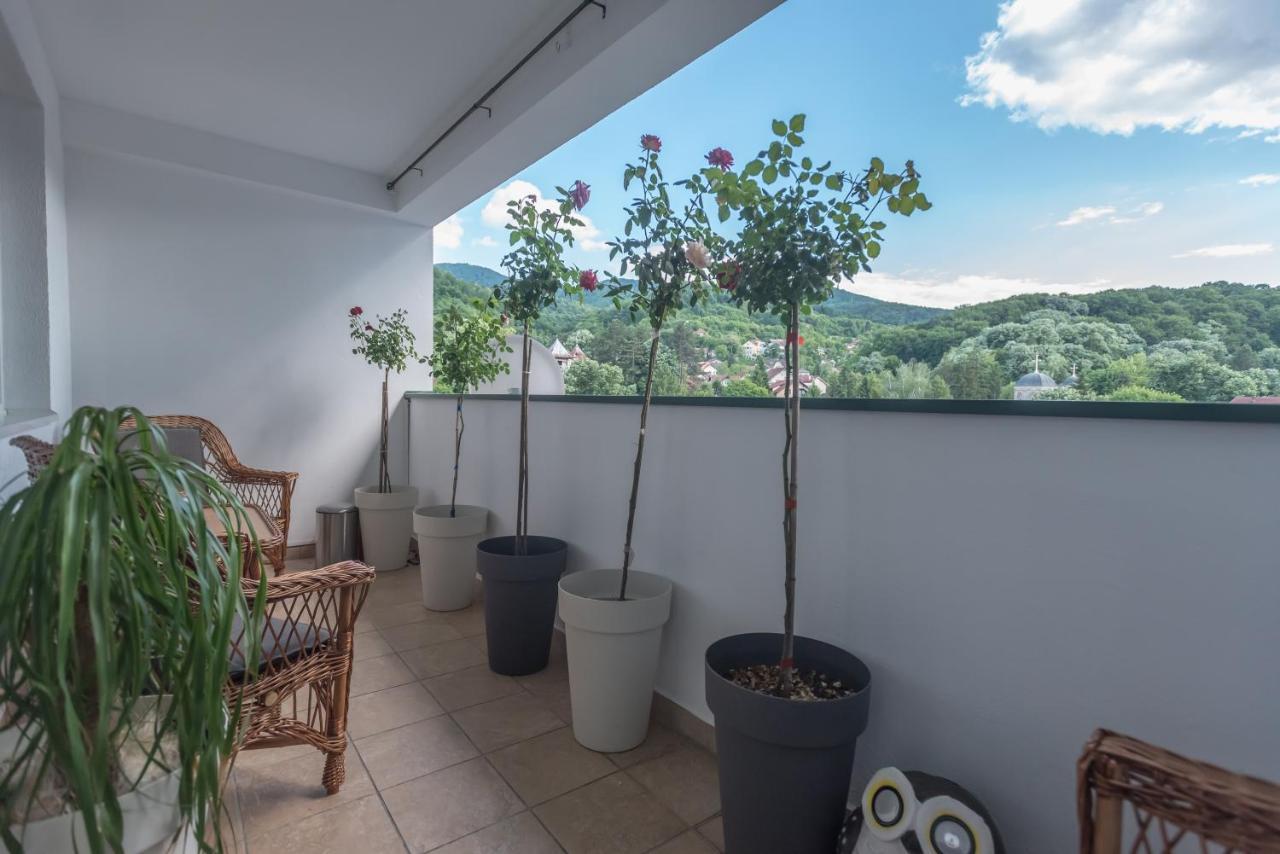 Onore Dell Amore Apartman Sa Djakuzijem Banja Koviljača Buitenkant foto